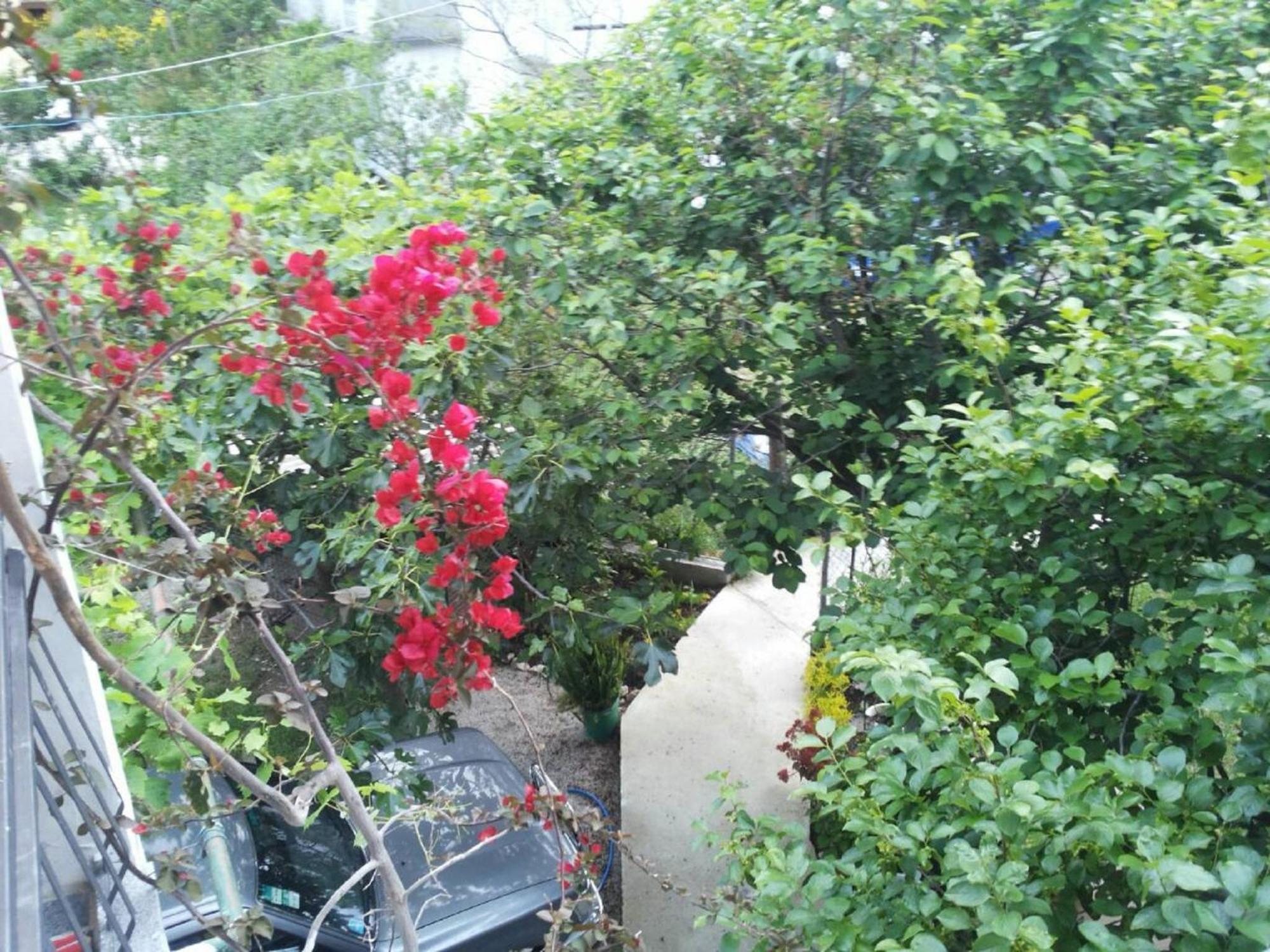 Apartments Blago סוטומורה מראה חיצוני תמונה