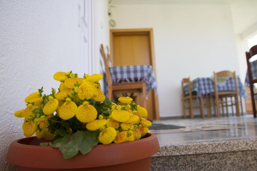 Apartments Blago סוטומורה מראה חיצוני תמונה